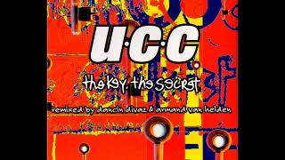 Urban Cookie Collective  The Key The Secret Armands Electro Mix [upl. by Lavena1]