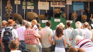 BAKEWELL SHOW 2011 [upl. by Oriel]