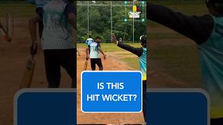 Is this hit wicket cricket cricketlaws lawsofcricket hitwicket [upl. by Dotty]