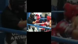 Edwin Valero  Sparring [upl. by Blodgett]