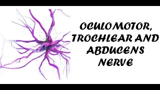 Oculomotor Trochlear and Abducens Nerve  Clinical Examination of Cranial Nerve 3 4 and 6 [upl. by Mayhew]