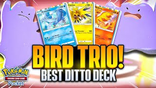 Building the ULTIMATE DITTO Deck【Pokemon TCG Pocket】 [upl. by Saihttam254]