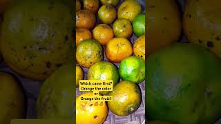 Orange season  Country side Orange🍊🍊 ytshorts ytviral [upl. by Durant]