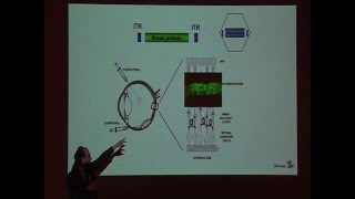 Applicazione della terapia genica nella retinite pigmentosa  Dott Enrico Maria Surace [upl. by Odnanref]