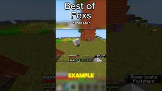 The Best Minecraft Sheep Farm minecraft xenossmp fyp [upl. by Renault358]