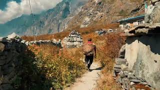 Trek Langtang travel langtang langtangvalley [upl. by Anasus104]