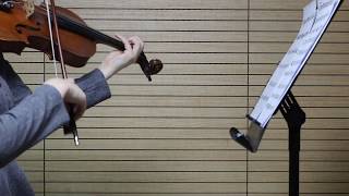 Rieding violin concerto op34 2nd Movement [upl. by Couchman]