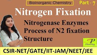 Nitrogen Fixation Process  Nitrogenase Enzymes  Bioinorganic Chemistry for CSIRNET  IITJAM [upl. by Lavella742]