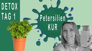 Smoothie Petersilie DETOX Kur Tag 1  Detox Smoothie Kur  grüner Smoothie vegan  Erfahrungen [upl. by Danya]