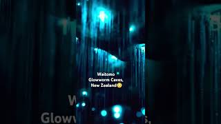 Glowworm cave trending viralvideo viralshorts trendingshorts youtubeshorts india cave love [upl. by Ecila525]