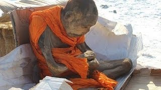 ─►Shocking 200 Year Old Meditating Mummy could be alive [upl. by Nakre885]