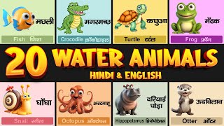 20 Water Animals Name in English amp Hindiजल में रहने वाले जीवों के नामWater Animals Name [upl. by Okwu]