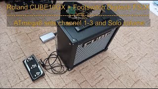 Roland Cube10GX  Footswitch FS3X [upl. by Valley]