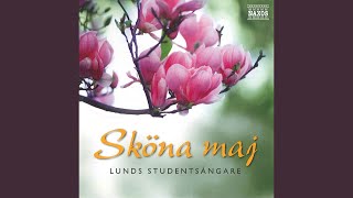 Sången om våren [upl. by Ainotna]