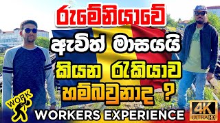 Work Experience in Romania What You Need to Know රුමේනියාවේ ඇවිල්ලා මාසයයි 🇷🇴 [upl. by Concordia]