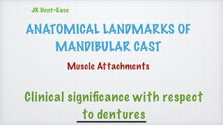 Anatomical Landmarks of Mandibular cast NEET MDS BDS [upl. by Linehan]