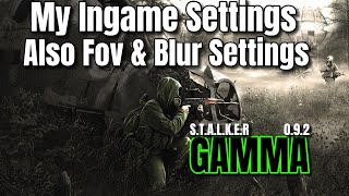 STALKER GAMMA 092☢️ New Updated InGame Settings Guide [upl. by Yalhsa231]