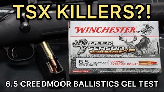 BARNES TSX KILLERS 65 Creedmoor Winchester Copper Impact 125gr Ammo Test [upl. by Emelina447]