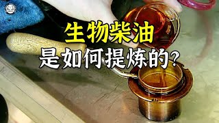 地沟油是如何提炼成生物柴油的？先蒸发油里面的水分，再过滤萃取 [upl. by Hannahoj49]