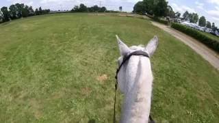 The Jumping Percheron Flora Lea June 2016 XC Helmet Cam [upl. by Cynar]