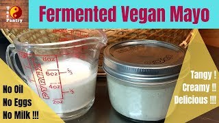 Fermented Vegan Mayonnaise  Probiotics Mayo for weight loss [upl. by Ahsuoj]