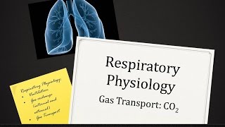 Carbon Dioxide Transport [upl. by Eyanaj]