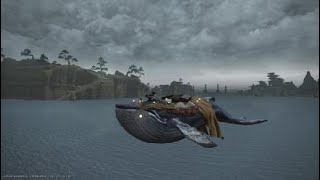 Indigo Whale Mount [upl. by Botnick]