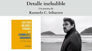 quotDetalle ineludiblequot un poema de Karmelo C Iribarren [upl. by Yenoh851]