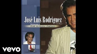 José Luis Rodríguez  Los Amigos Audio [upl. by Dusa807]