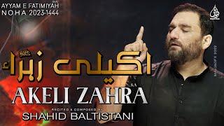 Ayyam e Fatmiyah Noha 2023  Akeli Zahra  Shahid Baltistani  Noha Bibi Fatima Zahra [upl. by Reilamag]