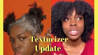 I Texturized My Natural Hair TYPE 4 African Pride  2 Months Update [upl. by Yonit]