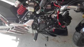 Honda Grom Nology ProFire Ignition with Hotwire [upl. by Ajile]