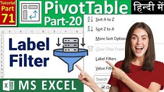 MSEXCEL71Label Filter in Pivot Table  Filter data in a Pivot Table  Filter by Labels Text [upl. by Qiratla]