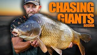 1300 Mile Trip  Mark Pitchers  Huge Carp 🤯 🐋  Carp Fishing in Bosnia [upl. by Salocin584]