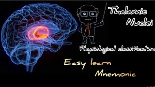 Thalamic nuclei physiological classification easy learn with mnemonic [upl. by Arron686]