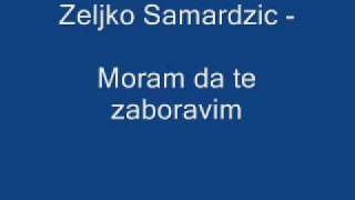 Zeljko Samardzic Moram da te zaboravim [upl. by Oika601]