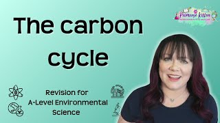 The carbon cycle  Revision for Environmental Science ALevel [upl. by Breger]