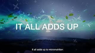 Micronutrition amp Health Solutions It All Adds Up [upl. by Gnauq]