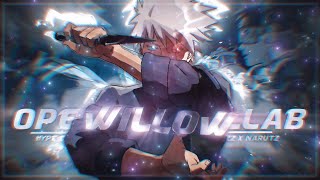 4K Willow tree 🔥 HYPE Open Collab「AMVEdit」project file nizzoc1 [upl. by Marsden366]