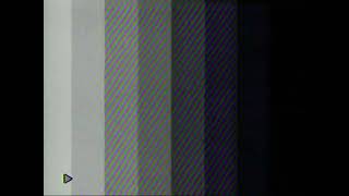 VHS Glitch Color Bars Test Screen [upl. by Eiramanitsirhc45]