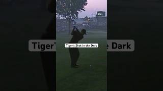 Tigers REMARKABLE shot in the dark 🐅 [upl. by Atterehs]