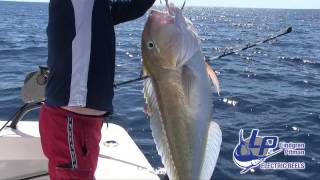 Fishing The Gulf of Mexico with Booby Trap Fishing Team Swordfish Marlin Tuna and more [upl. by Modie]