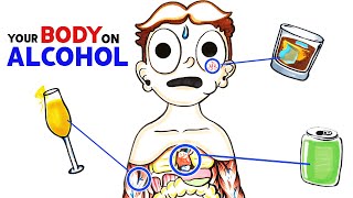 How Alcohol Changes Your Body [upl. by Adnac]