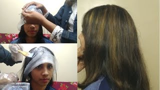 Professional Hair Highlighting Cap  How To Use Highlight Cap  Magicap Highlights Tutorial [upl. by Torr490]