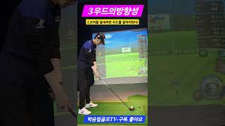 스코어를 낮추려면 우드를 잘쳐야한다golfswing 우드잘치는법스트레이트구질golfswing 박승일골프 브라보스크린골프서산골프레슨 woodswingIPGA골프협회 [upl. by Bik176]