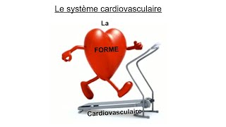 La forme cardiovasculaire [upl. by Wandie]