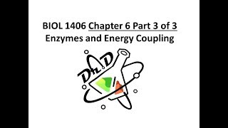 Chapter 6 part 3 of 3 Metabolism [upl. by Schug]