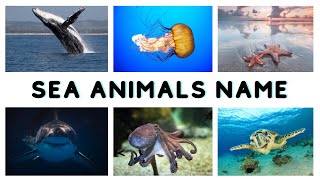 Water AnimalsSea Creatures Name in English and UrduWater Animals Name English and hindi [upl. by Oinotla]