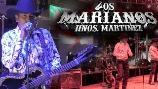 Los Marianos quotHermanos Martinezquot En vivo [upl. by Deloris]