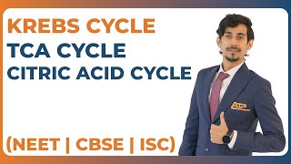 Krebs Cycle  TCA Cycle  Citric Acid Cycle  NEET Biology  CBSE  ISC  ATP STEM [upl. by Grimonia]